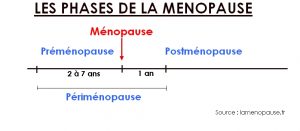 Phases de la ménopause