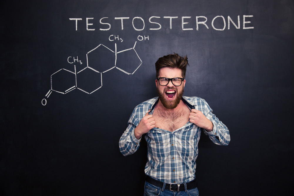 testostérone ménopause