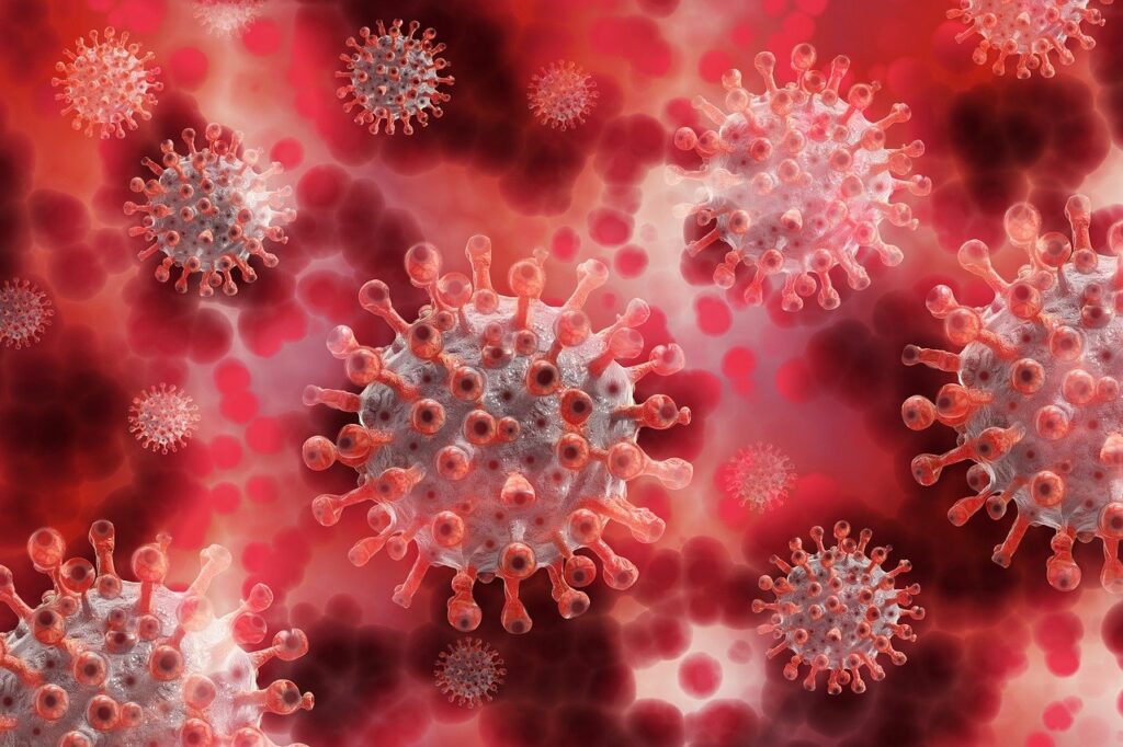 coronavirus et ménopause